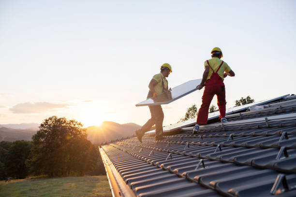 Best Roof Moss and Algae Removal  in Centerville, TN