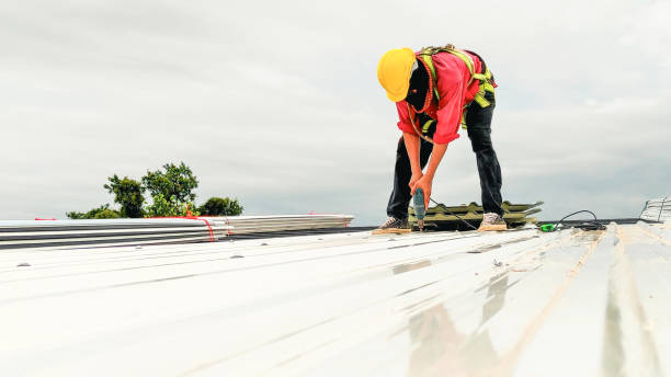 Best Sheet Metal Roofing  in Centerville, TN
